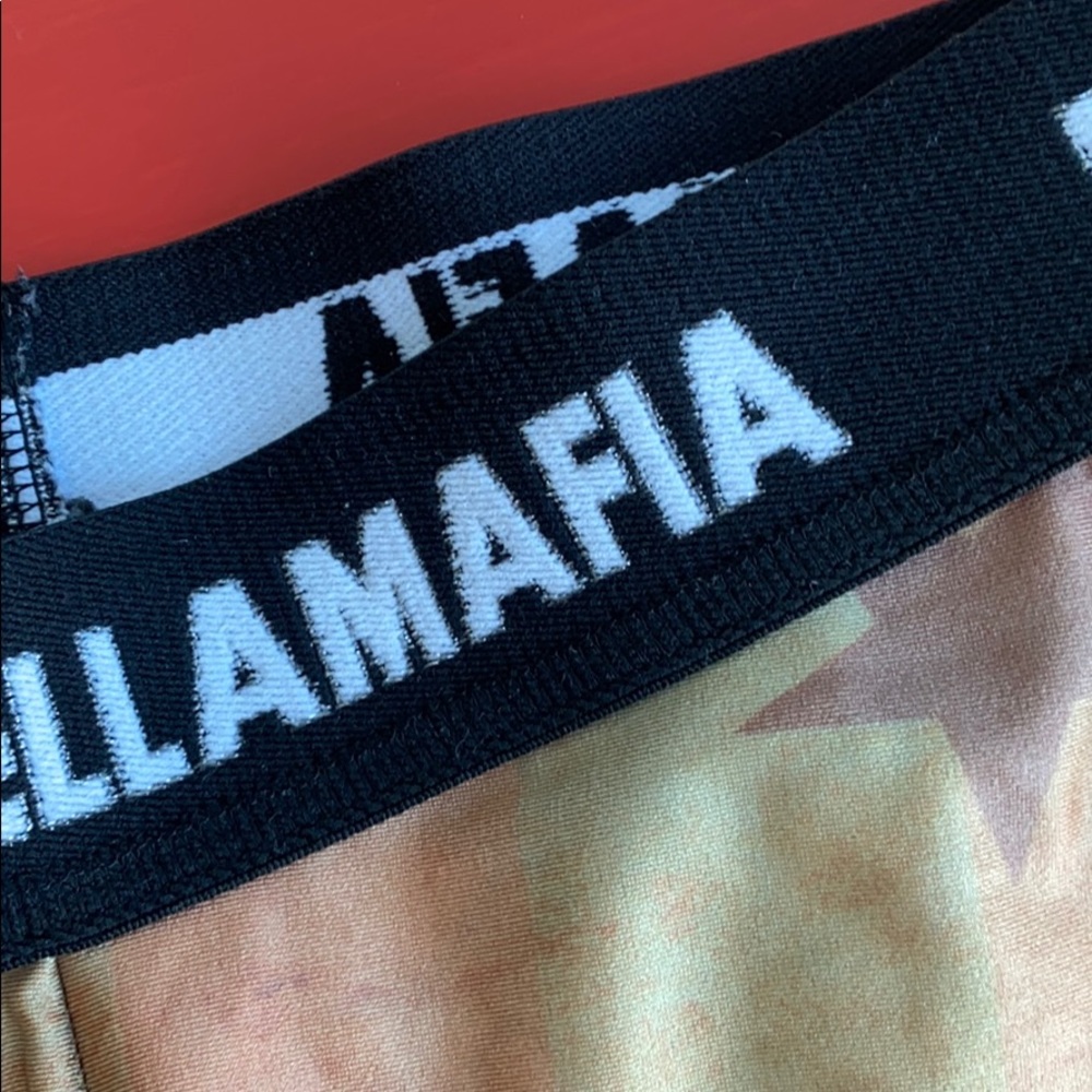 Labellamafia USA  legging with logo waist band - Picture 6 of 6